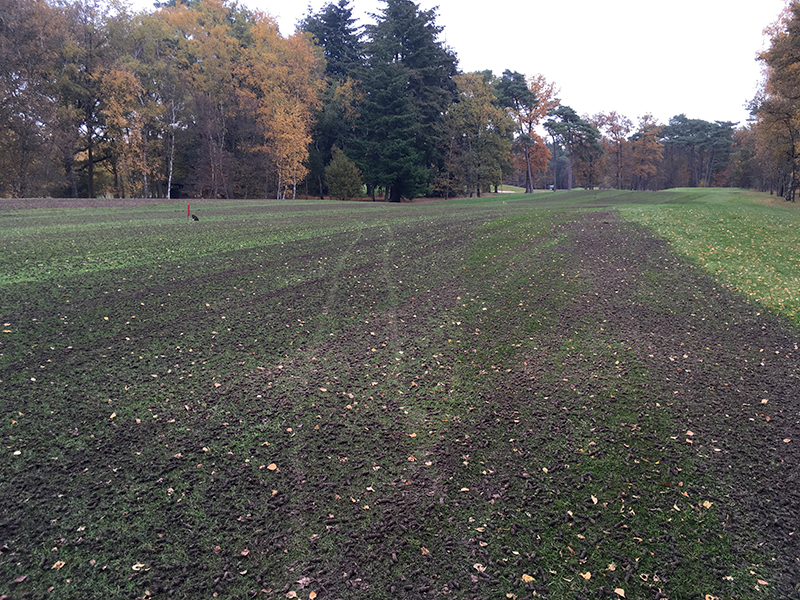 Golf Rinkven - holprikken