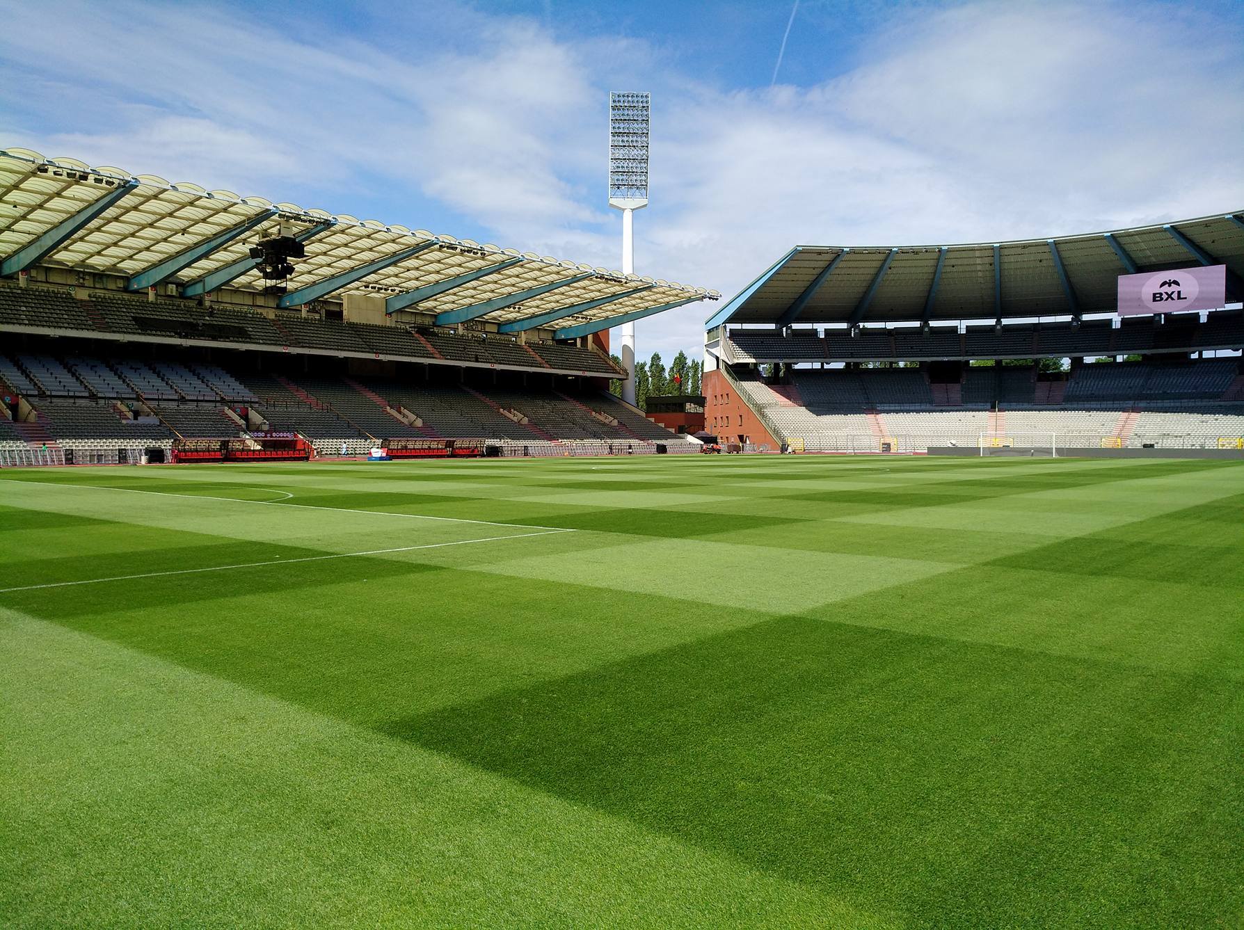 Koning Boudewijnstadion - perfecte grasmat